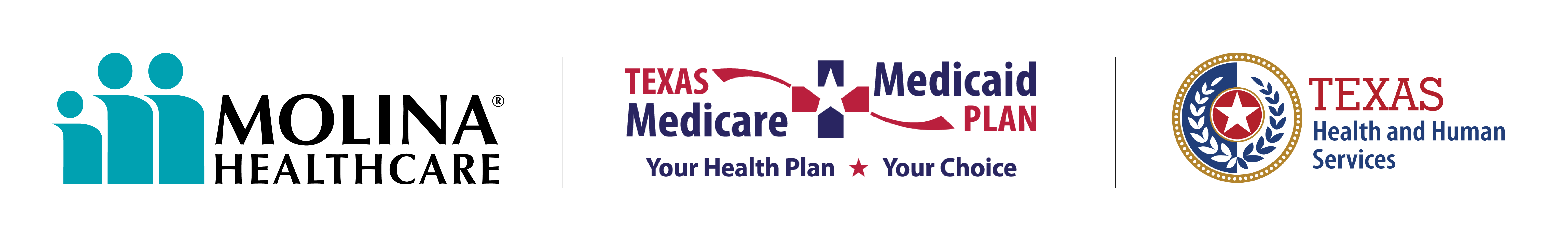 Molina Healthcare Logo